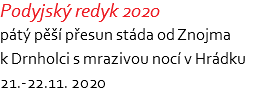 Podyjský redyk 2020 pátý pěší přesun stáda od Znojma k Drnholci s mrazivou nocí v Hrádku 21.-22.11. 2020