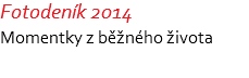 Fotodeník 2014 Momentky z běžného života 